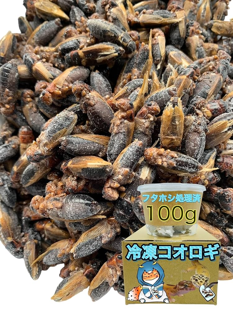★合鴨なつお君★冷凍コオロギ1kg M・Lサイズ　フタホシコオロギ ☆合鴨なつお君様専用☆冷凍コオロギ1kg M・Lサイズ